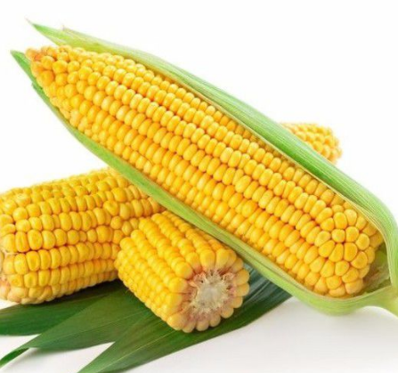 玉米振動篩如何選擇？